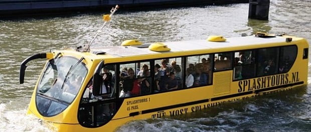 anfibus1